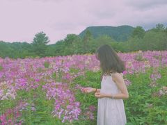-名花谷生态庄园
