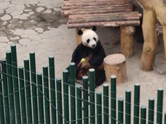 -沈阳森林动物园