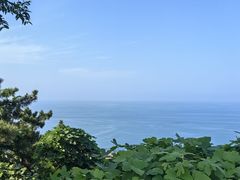 -刘公岛景区