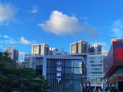-小猫来了·猫舍(红山六九七九店)