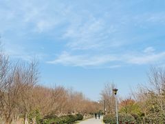 -南湖湿地公园