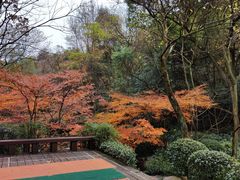 -杭州半山国家森林公园