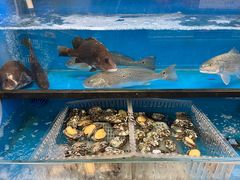 -中商优品汇超市(中南店)