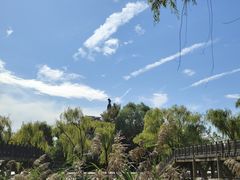 -百脉泉景区