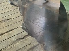 -石家庄市动物园