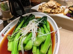 -直隶安家罩饼(复兴路店)