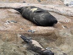 -香港海洋公园