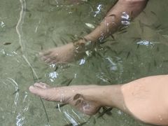 -碧水湾温泉