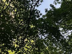 -九龙潭景区