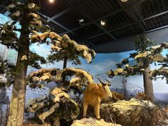 -陕西自然博物馆