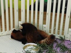 -常州淹城野生动物世界