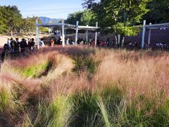 -牛岗山公园
