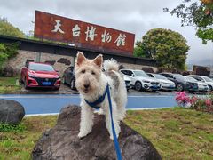 -天台山景区