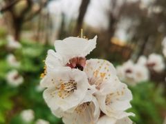 -郑州方特梦幻王国