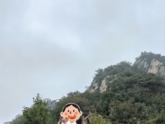 -大岭沟猕猴桃谷风景区