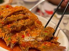 经典甜酒罗非鱼-老友王·南宁特色菜(金汇如意坊店)