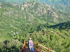 -大岭沟猕猴桃谷风景区