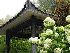 -重庆平顶山公园