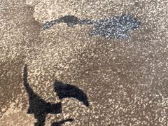 -百年尹氏汤包(湖南路狮子桥店)