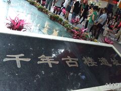 -北京路步行街-千年古道遗址