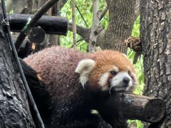 -常州淹城野生动物世界