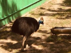-西霞口神雕山野生动物世界