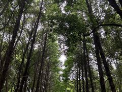-同里国家湿地公园