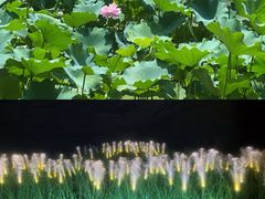 -地心探险极地