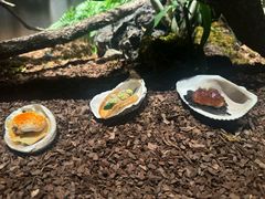 -曲廊院(东四十一条店)