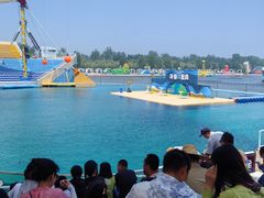 -秦皇岛乐岛海洋王国