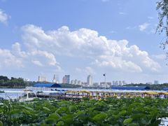 -长春市南湖公园