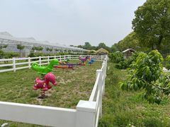 -嘉北郊野公园