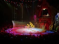 -珠海横琴长隆《卡卡虎奇遇记》