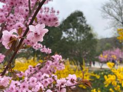 -国家植物园