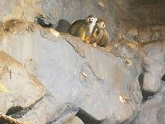 -洛阳龙门海洋馆