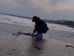 -老虎石海上公园