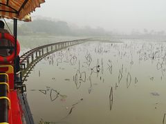 -西双版纳傣族园