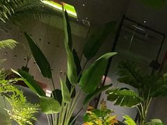 -柯森电竞