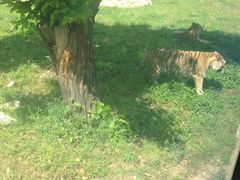 -西安秦岭野生动物园