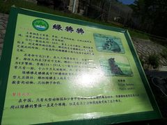 -哈尔滨北方森林动物园
