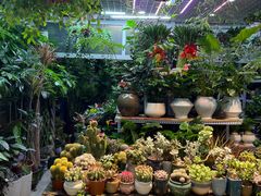 -三旗百汇商品城