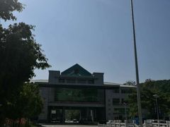 -打洛口岸