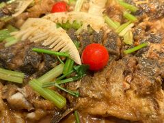 -老板恋上鱼(印象城店)