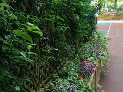 -上海市世外小学