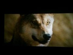 android_upload_pic-横店电影城(李沧店)