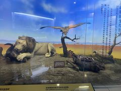 -国家自然博物馆