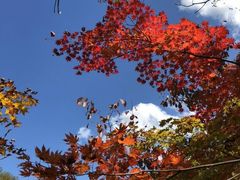 -丹东天桥沟景区