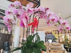-花舍·新派粤菜·西餐·下午茶(亚运村·鸟巢店)