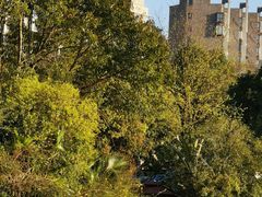 -海兰云天度假区温泉