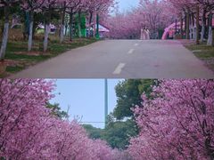 -凤凰沟景区